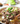 June 7 @ 6:00 PM - A TASTE OF KOREA: Bulgogi (Korean BBQ)
