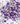 Purple & White Sporty Sprinkles 2 oz